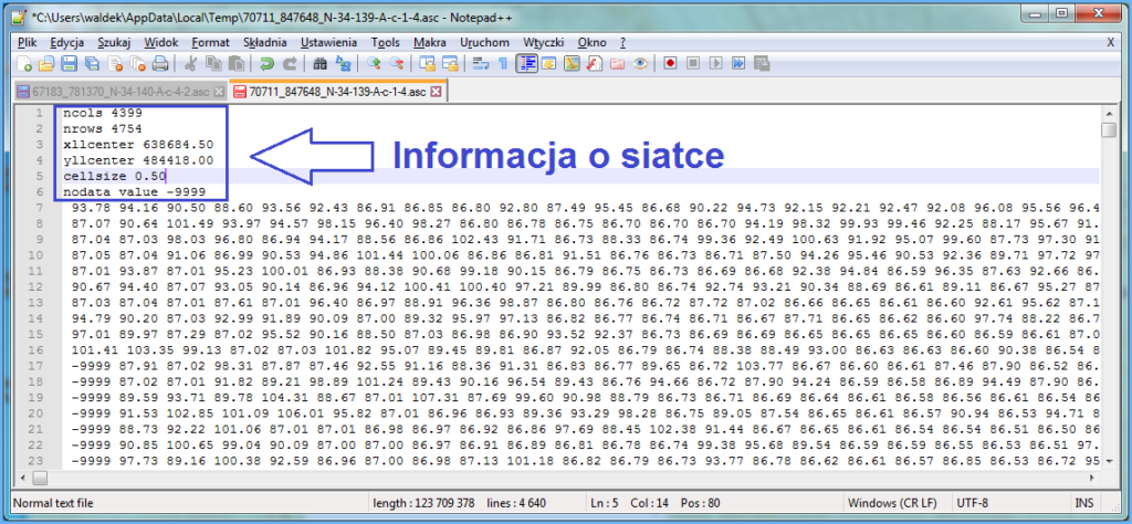 Grafika przedstawiająca fragment pliku z danymi NMPT w formacie Arc INFO GRID